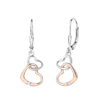 NB-3096 Visací stříbrné náušnice se srdíčky - srdce