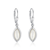 NB-3935 Stříbrné visací náušnice s perletí