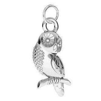 NB-4166 Stříbrný přívěšek sovička - zvířátka
