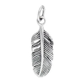 AL4094 Stříbrný přívěšek peříčko - pírka