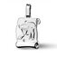 ZB51587-05 Stříbrný přívěšek znamení BÝK - znamení zvěrokruhu
