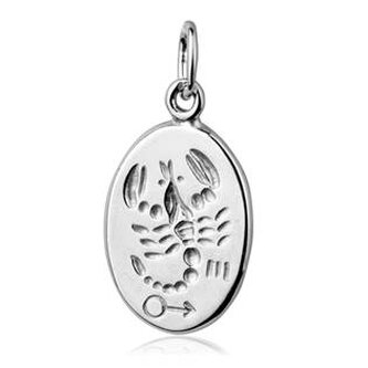 CS3002-11 Stříbrný přívěšek znamení ŠTÍR - znamení zvěrokruhu