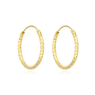 NB-3118-25 Zlacené stříbrné náušnice kruhy 25 mm