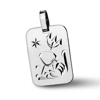 ZB511430-02 Stříbrný přívěšek znamení VODNÁŘ - znamení zvěrokruhu