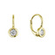 EG1390-GD Pozlacené stříbrné náušnice se zirkonem