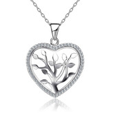 NB-2038 Střibrný náhrdelník - srdce