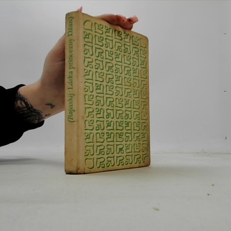 Láska princezny džan