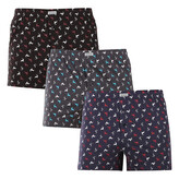 3PACK pánské trenky Andrie vícebarevné (PS 5837) XXL