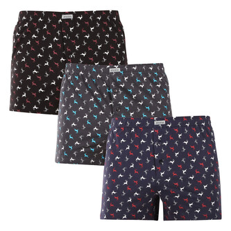 3PACK pánské trenky Andrie vícebarevné (PS 5837) XL