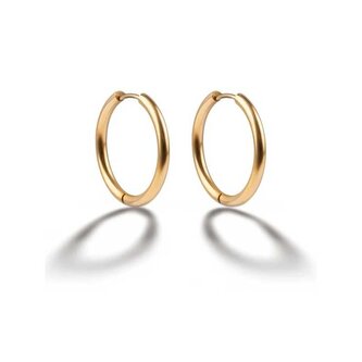 Elegantní kruhy z pozlacené oceli EWE25039G Emily Westwood / Průměr: 1,7 cm