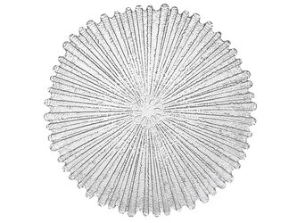 VERA SKLENĚNÝ TALÍŘ 26CM