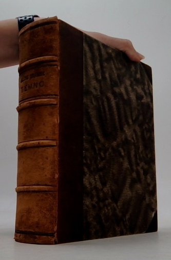 Temno historický obraz