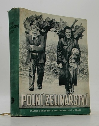 Polní zelinářství