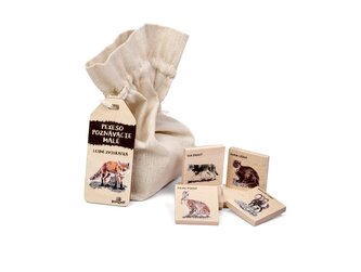 Lesní svět Pexeso poznávacie malé - Lesné zvieratká SK