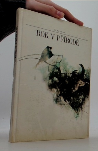 Rok v přírodě