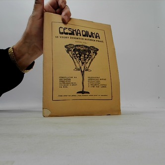 Česká dívka se vzory ženských ručních prací Ročník XVII.