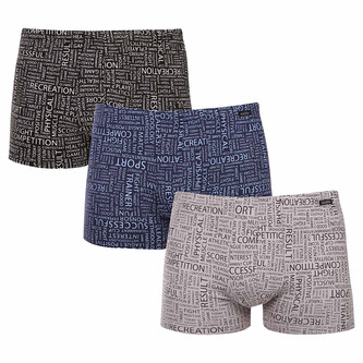 3PACK pánské boxerky Andrie vícebarevné (PS 5696) XL
