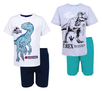 BLACK FRIDAY -  BOX 24 KS PYŽAMO JURSKÝ SVĚT - velikost box 24 ks