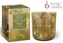 Vonná svíčka ve skle 150g dřevěný knot Golden Ginko - Greenery Shades