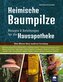 Heimische Baumpilze
