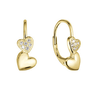 EG2405 Pozlacené stříbrné náušnice dvě srdce