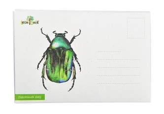 Lesní svět Puzzle do kapsy - Zlatohlávek