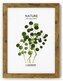 Ramka drewniana 15x21cm D215, Gedeon
