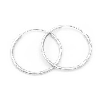 Třpytivé stříbrné kruhové náušnice AGUC2097/30/N Beneto