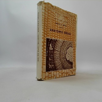 Anatomie dřeva