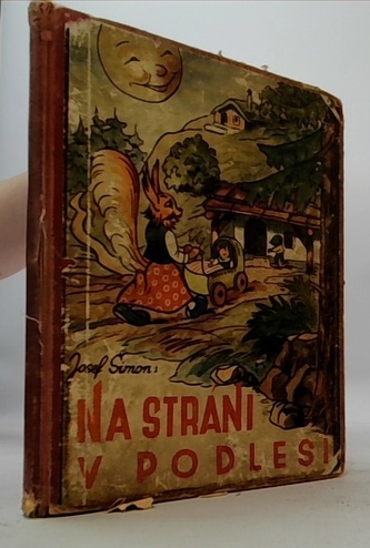 Na stráni v podlesí