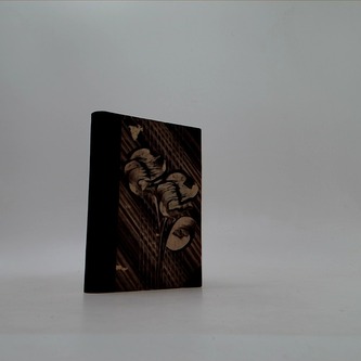 Julie neboli Nová Heloisa IV.