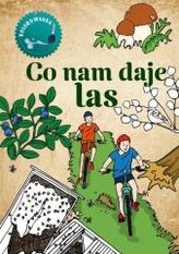 Kolorowanka. Co nam daje las