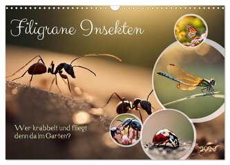 Filigrane Insekten (Wandkalender 2026 DIN A3 quer), CALVENDO Monatskalender