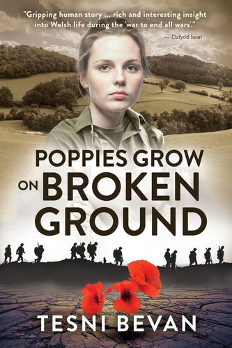 Poppies Grow on Broken Ground