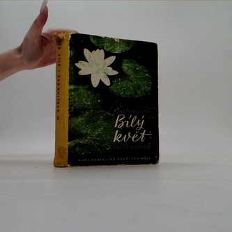 Bílý květ - dívčí román