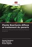 Plante Boerhavia diffusa et traitement du panaris
