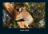 Koala 2026 Fotokalender DIN A4