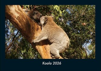 Koala 2026 Fotokalender DIN A4