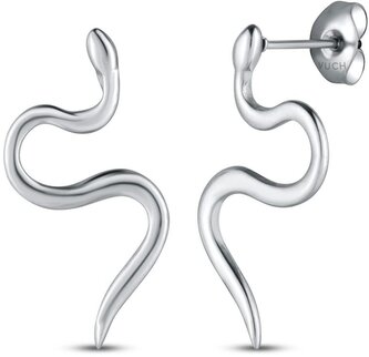 Náušnice Vireya Silver