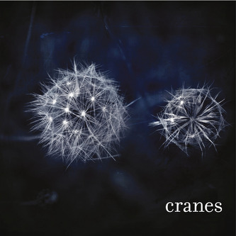 Cranes:  Cranes