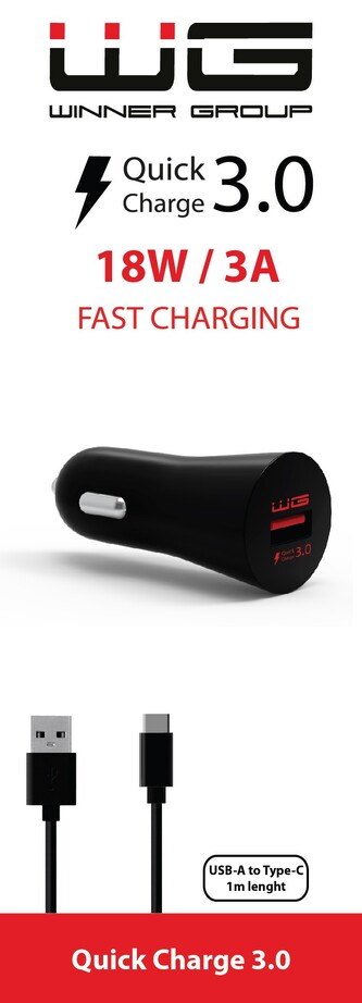 USB Fast Charger 2,4A + TYPE-C Cable