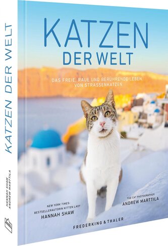 Katzen der Welt