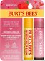 Burt's Bees Tinted Lip & Beeswax Set balzámů na rty Burt´s Bees