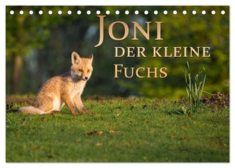 Joni, der kleine Fuchs (Tischkalender 2026 DIN A5 quer), CALVENDO Monatskalender