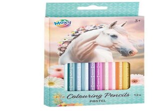 CCG konik kredki pastelowe 12szt 190011 67923