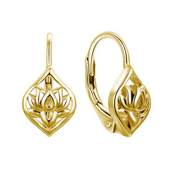 NB-3228 Zlacené stříbrné náušnice