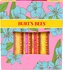 Burt's Bees "In Full Bloom" Set balzámů na rty Burt´s Bees