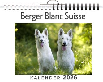Berger Blanc Suisse