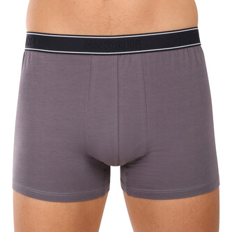 Pánské boxerky Andrie vícebarevné (PS 5828/light gray) 3XL