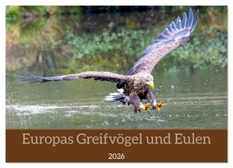 Europas Greifvögel und Eulen (Wandkalender 2026 DIN A2 quer), CALVENDO Monatskalender